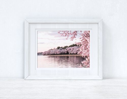 Cherry Spring Blossom Lake Photography Spring Seasonal Home A4 Normal