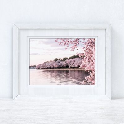 Cherry Spring Blossom Lake Photography Spring Seasonal Home A4 Normal
