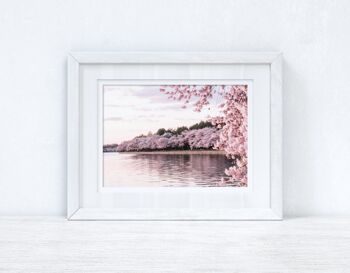 Cherry Spring Blossom Lake Photographie Printemps Saisonnier Maison A4 Normal