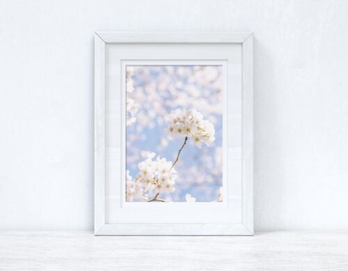 Blossom Tree White Spring Photography Spring Seasonal Home P A4 Normal