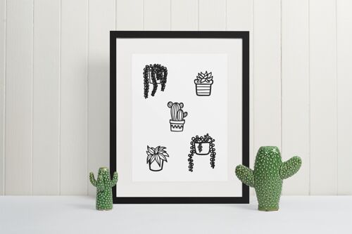 5 Plants Plant Obsessed Humorous Home Print A4 Normal