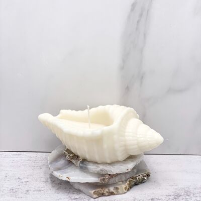 Candles Lab - handmade soy wax big shell candle