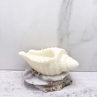 Candles Lab - handmade soy wax big shell candle