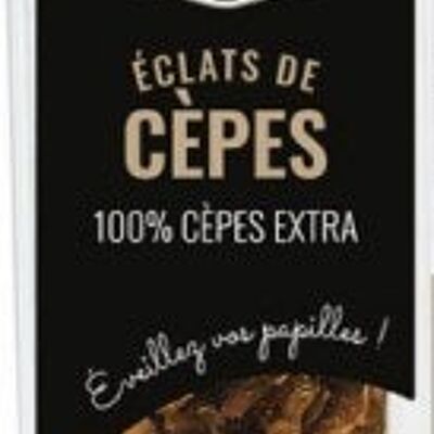 Eclats de Cèpes ai funghi