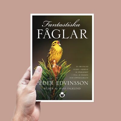 Fantastic birds: a winged guide in the heart of the bird kingdom - full of passion and desire to discover