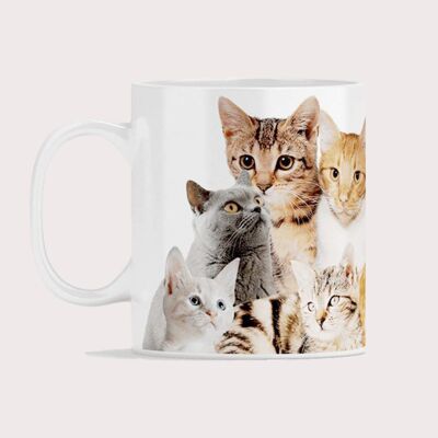 Taza: Gatos locos