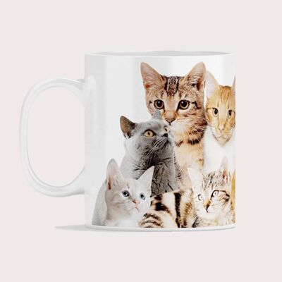 Mug: Crazy cats