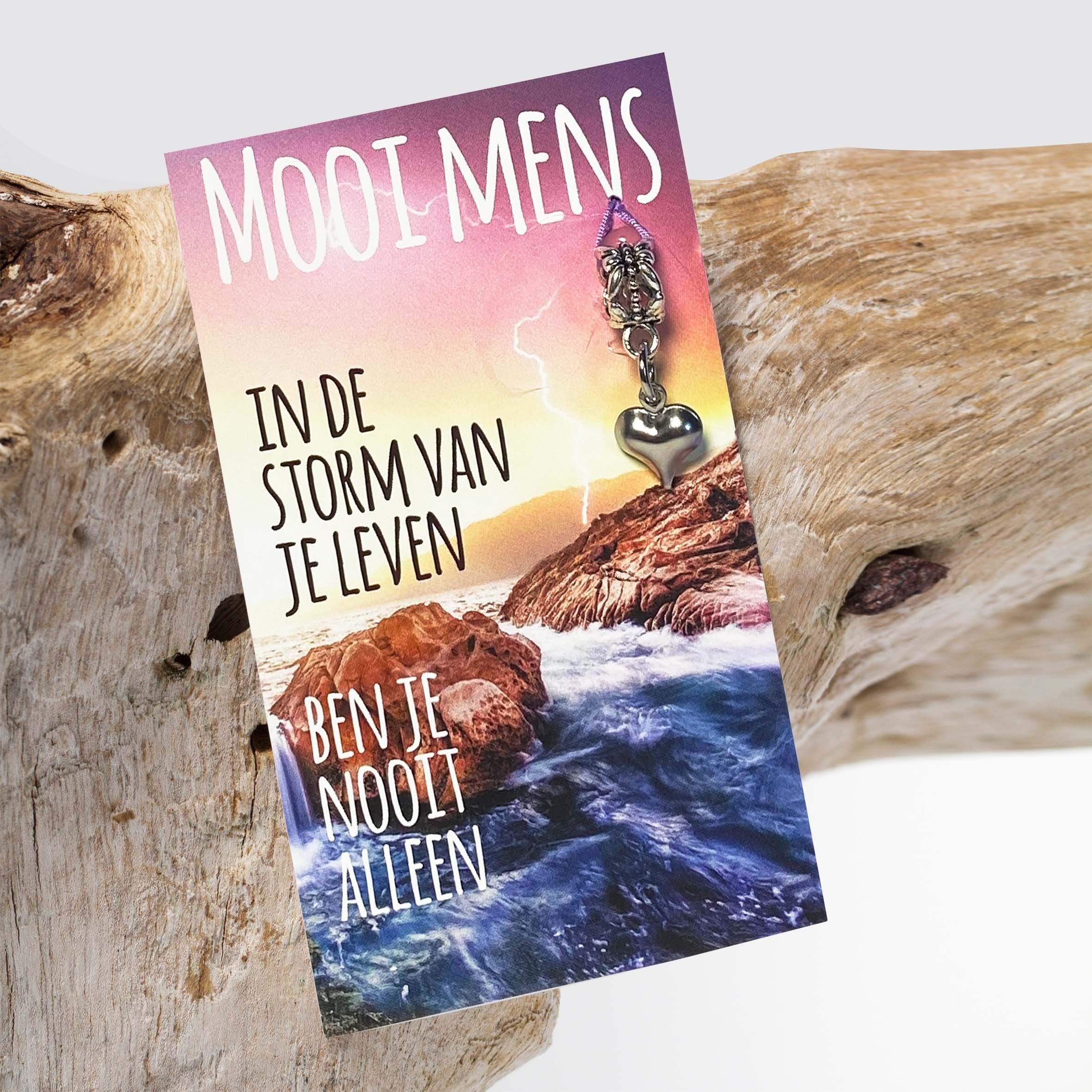 SCHÖNER MENSCH – IM STURM DEINES LEBENS BIST DU NICHT ALLEIN