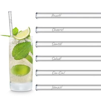 International toast Edition 6x 20cm glass straws with engraved sayings