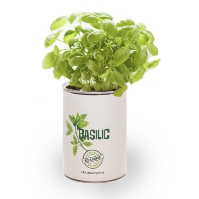 Kit à semer "Basilic" Fabriqué en France