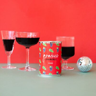 Kit de siembra "Graines de Vigne" Made in France