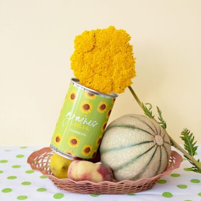 Kit de siembra "Seeds of Sun" Made in France