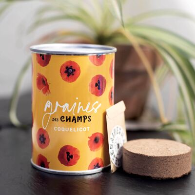 Sowing kit "Graines des Champs" Made in France