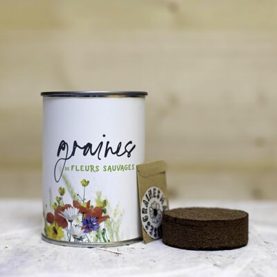 Kit de siembra "Wild Flower Seeds" Made in France