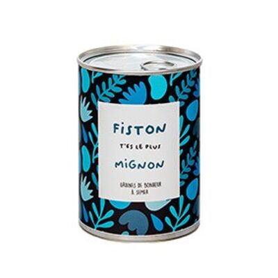 Kit à semer "Fiston t'es le plus mignon" Fabriqué en France