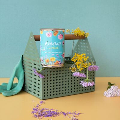 Kit de siembra "Semillas de locura" Hecho en Francia