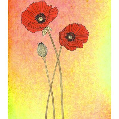 Fleur de coquelicot carte postale