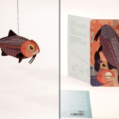 Pesce - biglietto di auguri 3D Deco