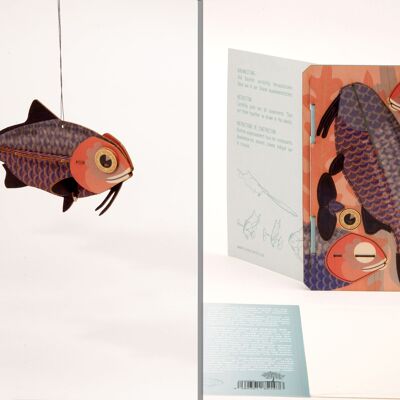 Poisson - Carte de voeux Déco 3D