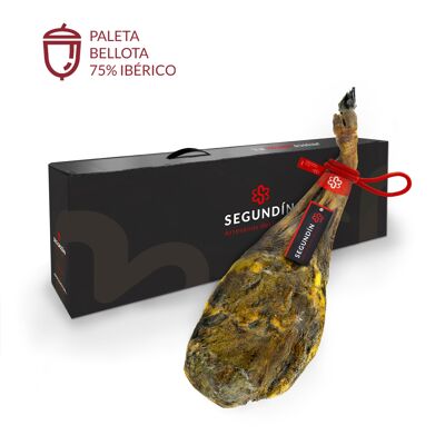 PALETA DE BELLOTA 75% IBÉRICA | 5,5-6 kg