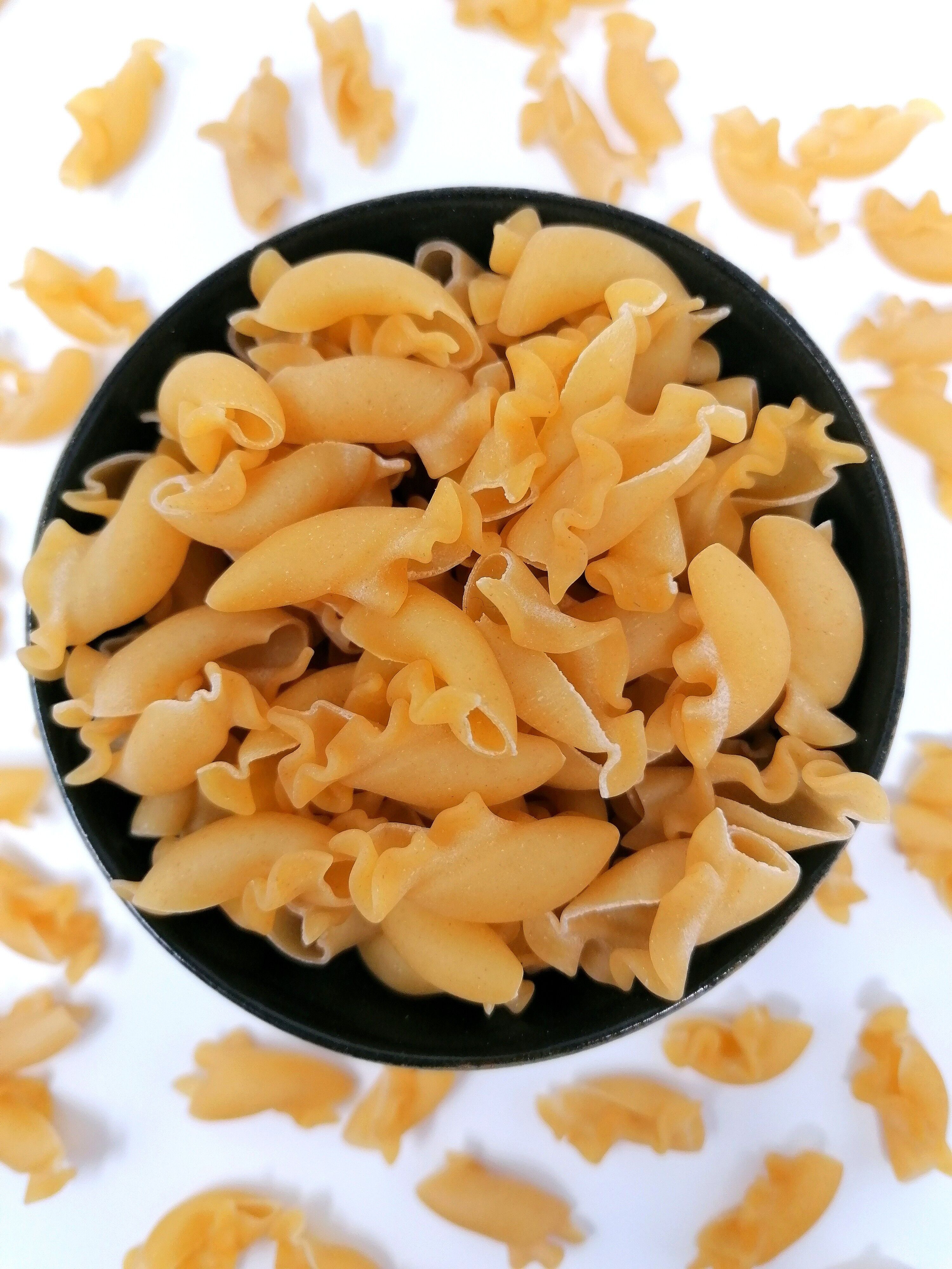 Bio-Nudeln aus Maguy - 5-kg-Beutel