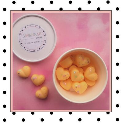Passionfruit Martini Soy Wax Melt Pots of Love