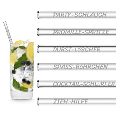 Funny straw names edition 6x 20cm glass straws with engraved sayings