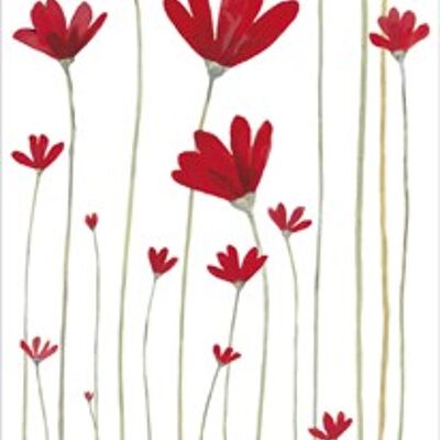 Bookmark CORRESPONDANCES - Aurélie Blanz « Les fleurs rouges »
