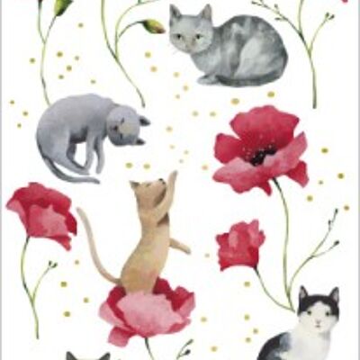 Bookmark CORRESPONDANCES - Aurélie Blanz « Cats »