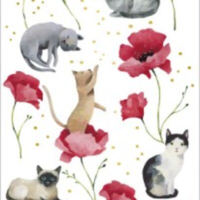 Bookmark CORRESPONDANCES - Aurélie Blanz « Cats »
