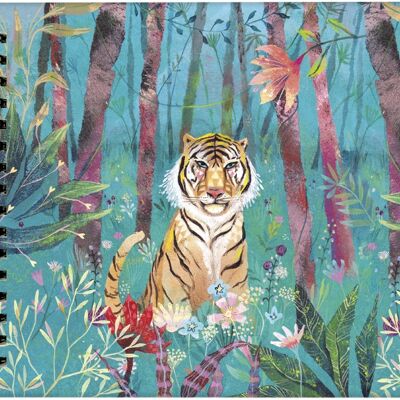 Photo album - Izou « Le tigre »