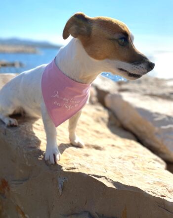 Bandana réversible "la vie en rose" liberty pour chien et chat 5