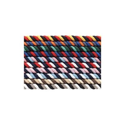 Multi Coloured Lead Rope
