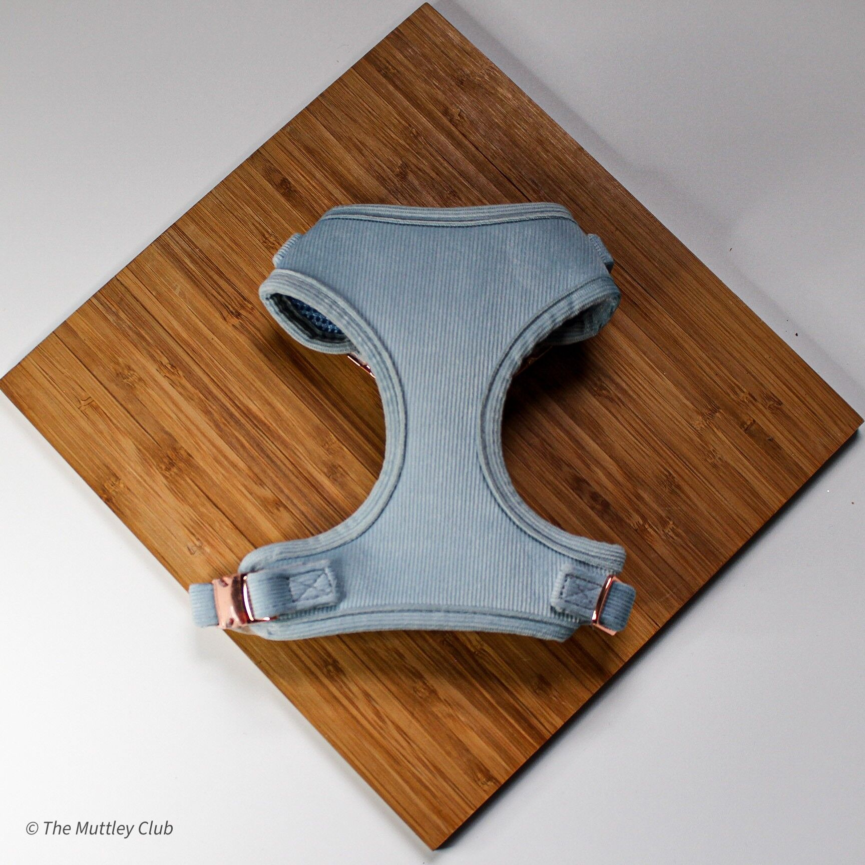 Imbracatura regolabile Pervinca - Taglia M