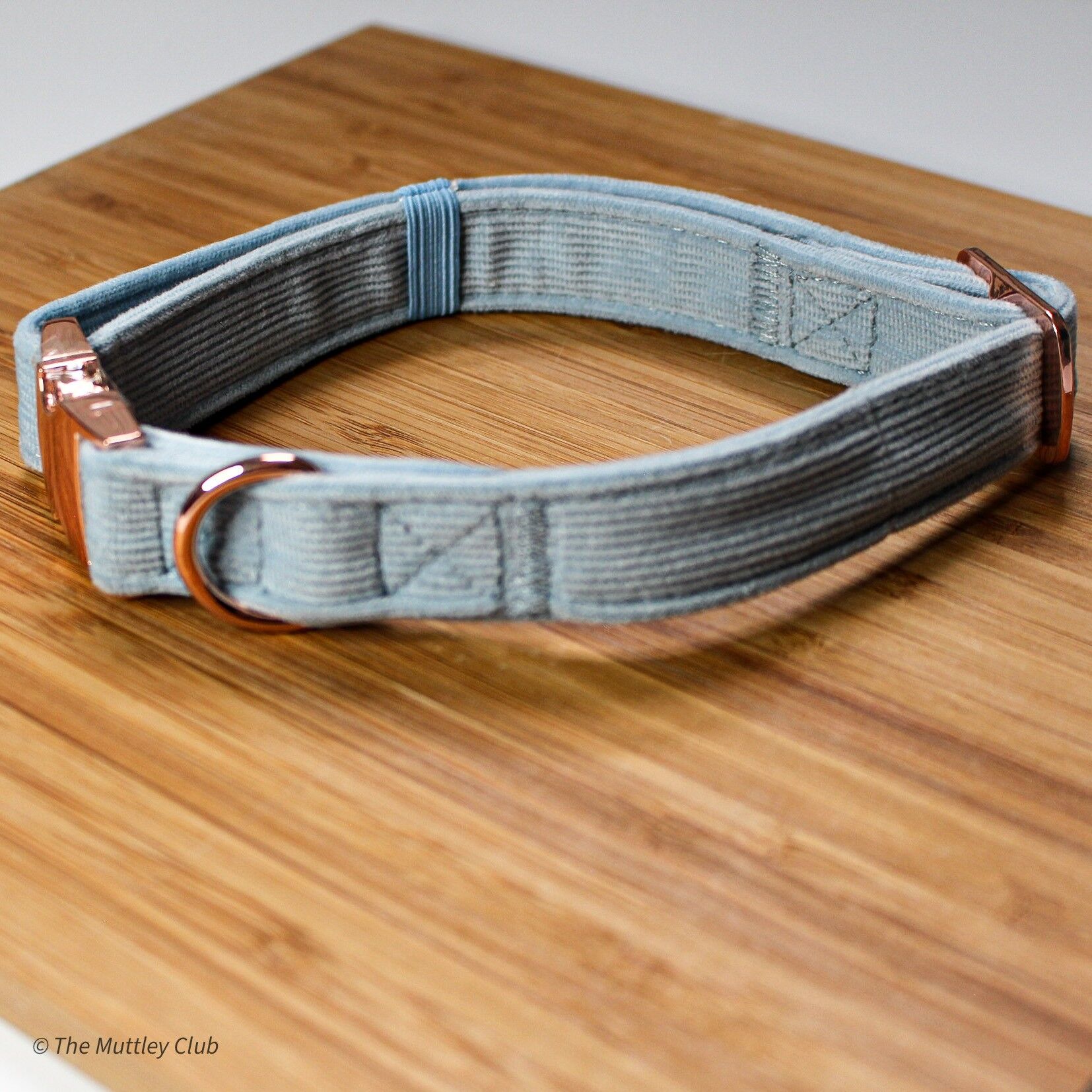 Colletto regolabile Pervinca - Taglia Large