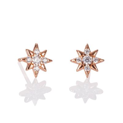 Rose Gold Mini Star Stud Earrings for Women