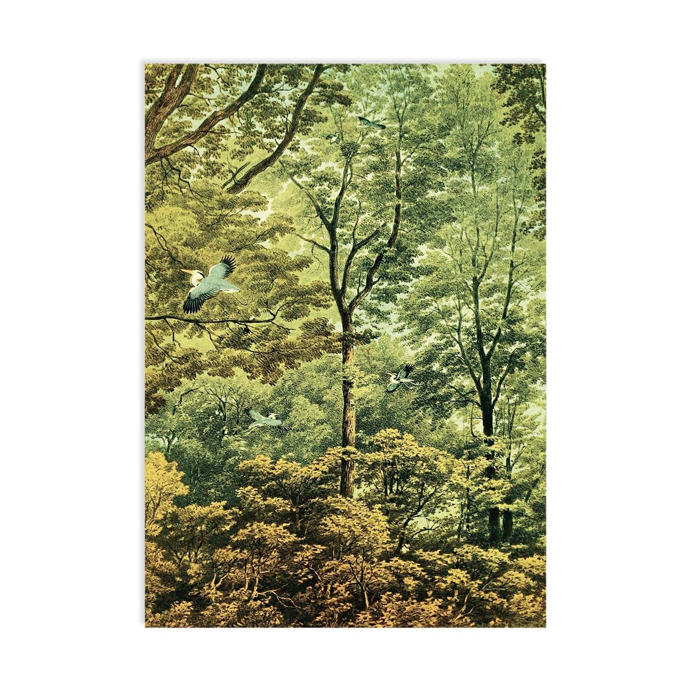 Cartolina Golden Age Golden