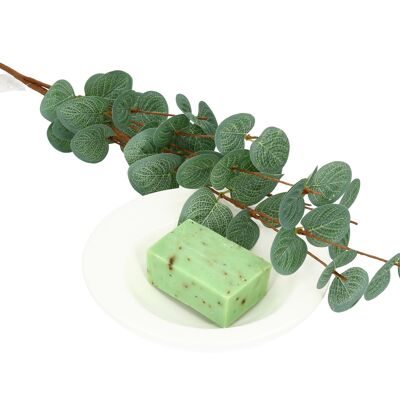 Peppermint soap