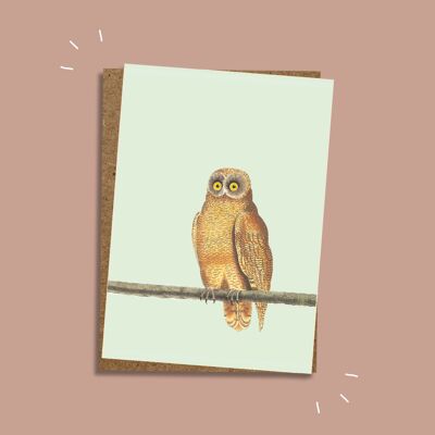 Tarjeta de felicitación Mellow Owl
