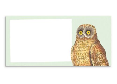 Notizblock Mellow Owl