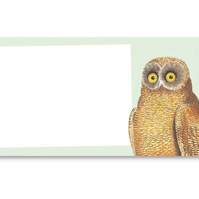 Notizblock Mellow Owl