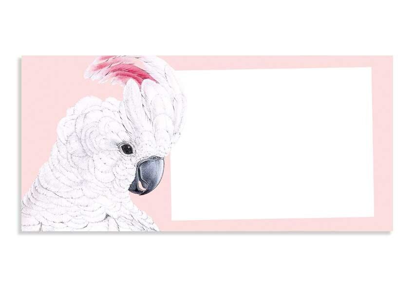 Appassionato blocco note