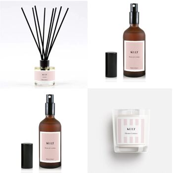 Pack d'implantation n°2 / 10% off