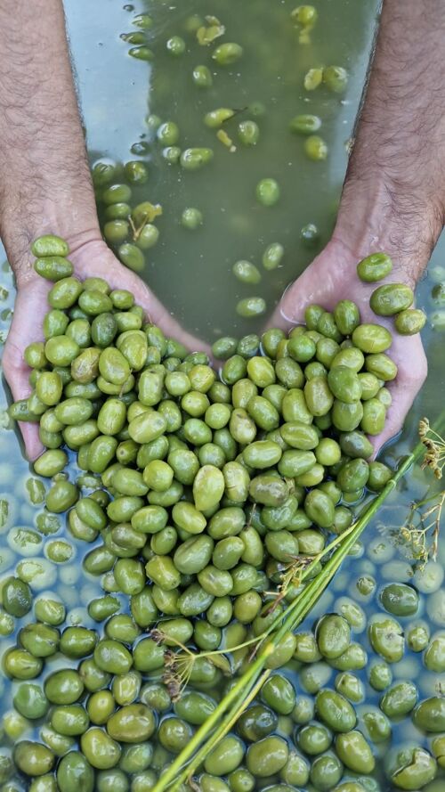 Olives vertes cassées des baux de Provence au fenouil VRAC