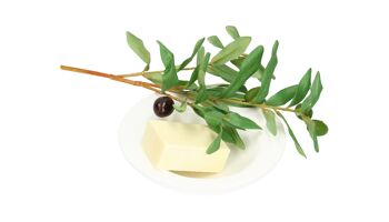 savon aux olives 1