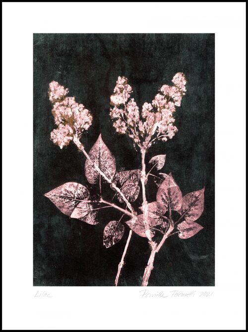 Lilac 2 blush / dark green 30x40 cm