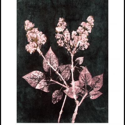 Lilac 2 blush / dark green 30x40 cm