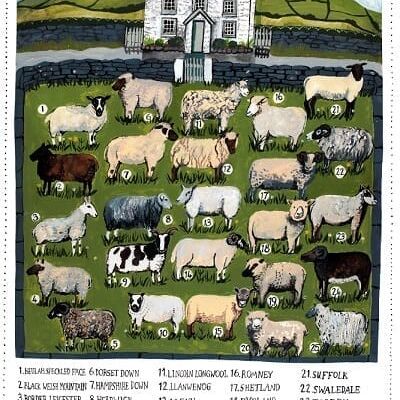 Impression d'affiche de moutons