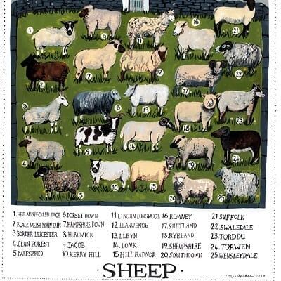 Impression d'affiche de moutons