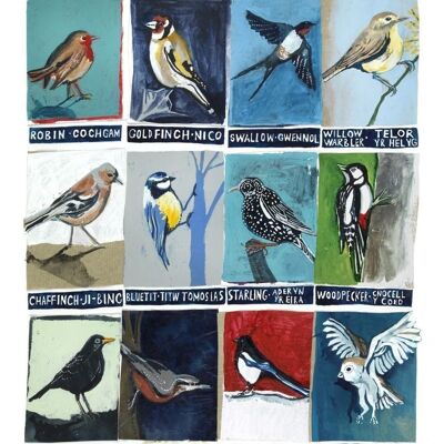 Birds Poster Print